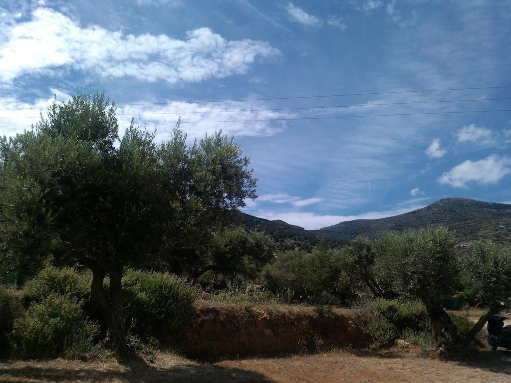 Studios Evdokia Platis Gialos  Exterior photo